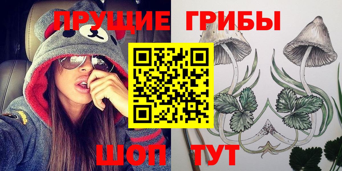 Псилоцибиновые грибы мицелий  Вход с VPN  Отрадное  Псилоцибиновые грибы мицелий 